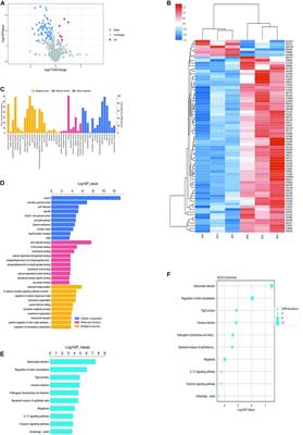 Identification of ACTA2 as a Key Contributor to Venous Malformation